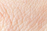 Kiek odos sluoksnių turi žmogus?