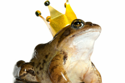 Говорете за принца жаба.