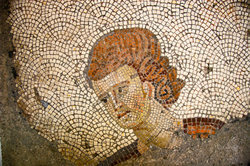 Elaborados mosaicos adornaban las paredes de las antiguas salas de estar romanas.