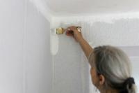 Apply roll-on plaster to the ceiling