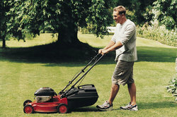 Lawn care means regular mowing of the lawn.