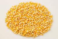 Готовим кукурузные зерна для салата