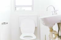 Clean the toilet cistern