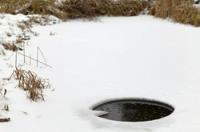 Couverture d'hiver pour l'étang de carpes koï