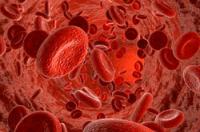 Τι σημαίνει αιμοδυναμική;