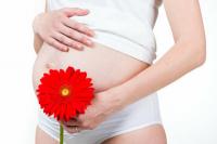 Antihistaminer under graviditet