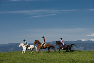 Кожен, хто знає, як поводитися з безперервними конями, може спокійно підходити до кожної прогулянки