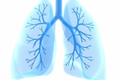Kyslík sa absorbuje pľúcami.