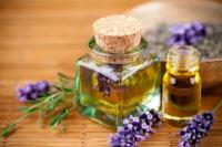 Use lavender correctly against mosquitoes