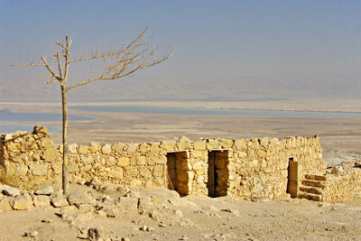 Băi de sare, de ex. B. în Marea Moartă, poate ajuta împotriva verucilor de apă.