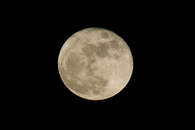 Měsíc je satelit Země. 