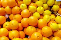 Mandarina in klementina- to razliko bi morali poznati pri satsumah