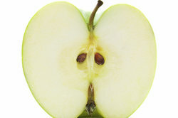 Obuolių sėklos turi potencialą.