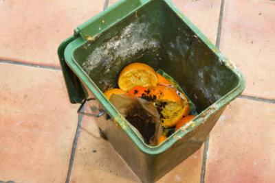 Однократного удаления органических отходов обычно недостаточно, чтобы избавиться от личинок и паразитов.