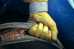 Ковбоям также нужны рабочие перчатки - не только для родео.
