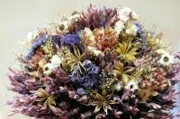 Drying flowers properly - proven methods