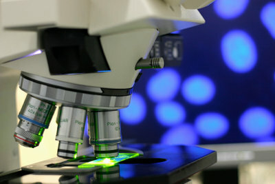 Световые микроскопы используются в большинстве естественных наук.
